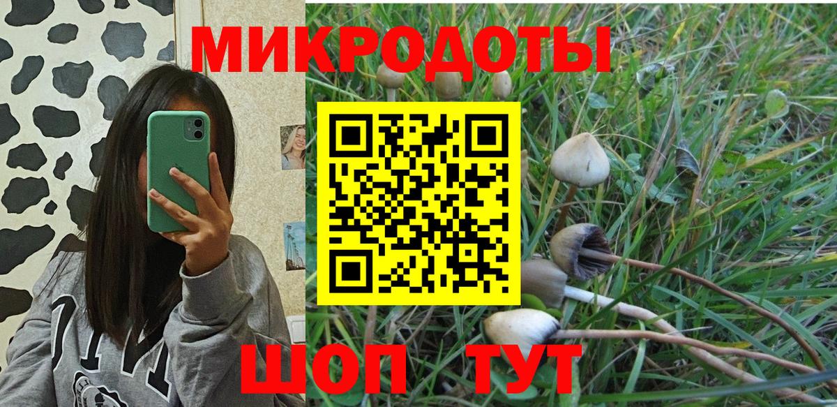 Галлюциногенные грибы GOLDEN TEACHER  Псилоцибиновые грибы мицелий  Вход с VPN  Богородицк 