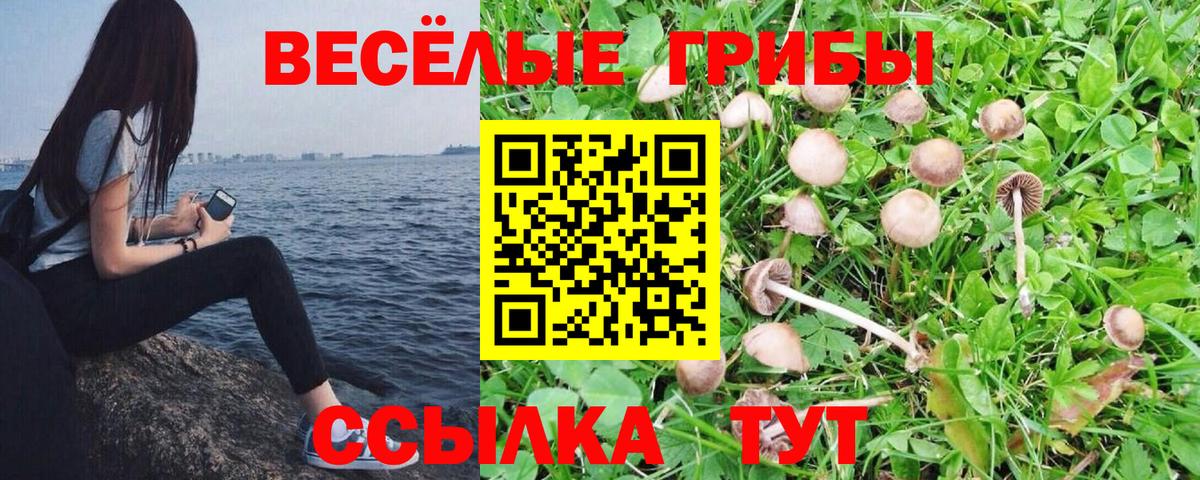 Галлюциногенные грибы GOLDEN TEACHER Богородицк